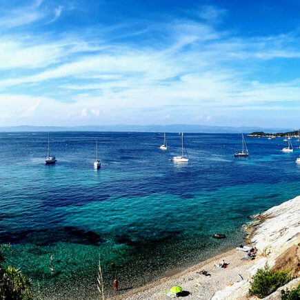 Porquerolles: the 'golden island' for nature lovers