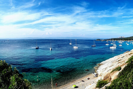 Porquerolles: the 'golden island' for nature lovers