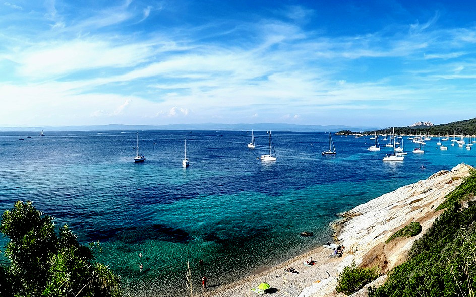 Porquerolles: the 'golden island' for nature lovers