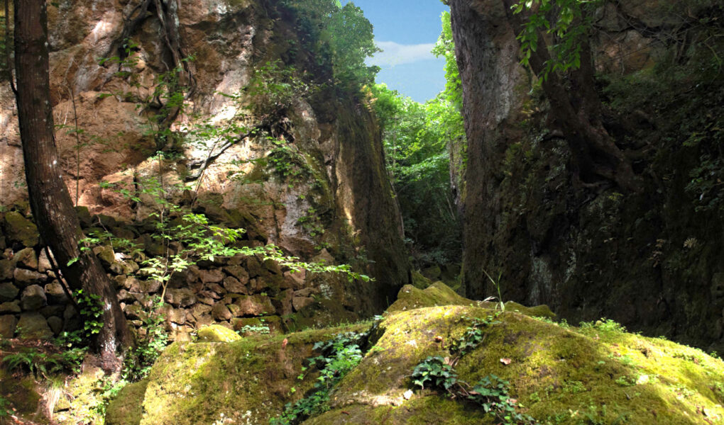 Vie Cave: the mysterious canyons Tuscany