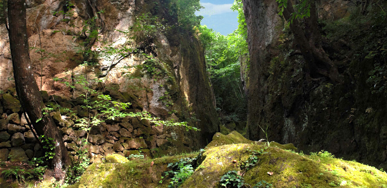 Vie Cave: the mysterious canyons Tuscany