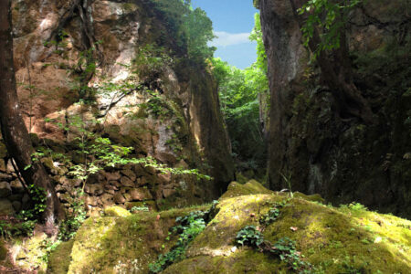 Vie Cave: the mysterious canyons Tuscany